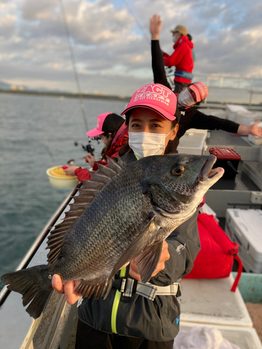 クロダイの釣果