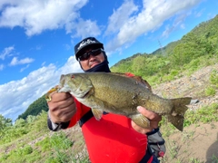 スモールマウスバスの釣果