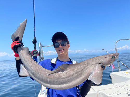 モミジザメの釣果