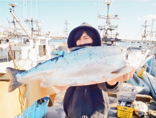 サクラマスの釣果