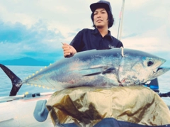 クロマグロの釣果