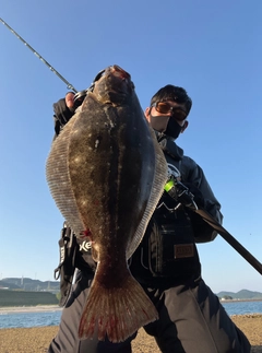 ヒラメの釣果