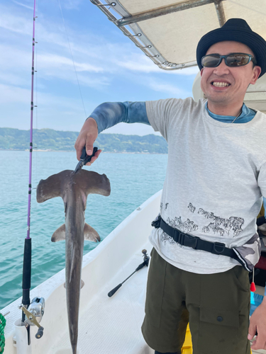 ハンマーヘッドシャークの釣果