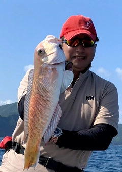 シロアマダイの釣果