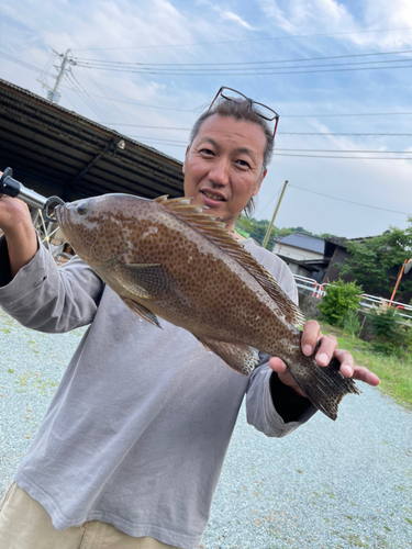 オオモンハタの釣果