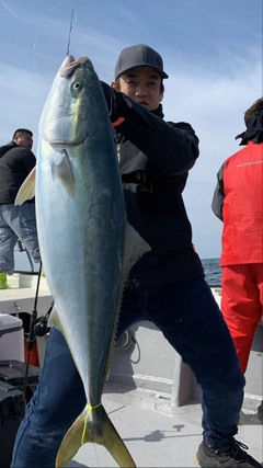 ブリの釣果