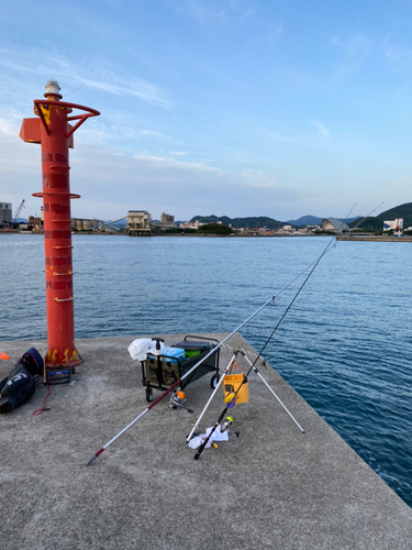 キスの釣果