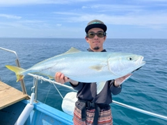 ブリの釣果