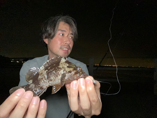 ムラソイの釣果