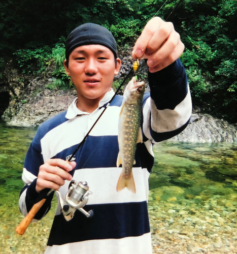 イワナの釣果