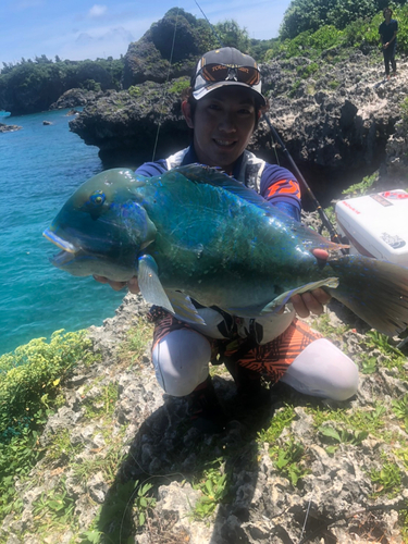 マクブの釣果