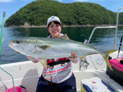 ブリの釣果