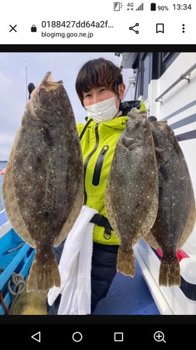 ヒラメの釣果