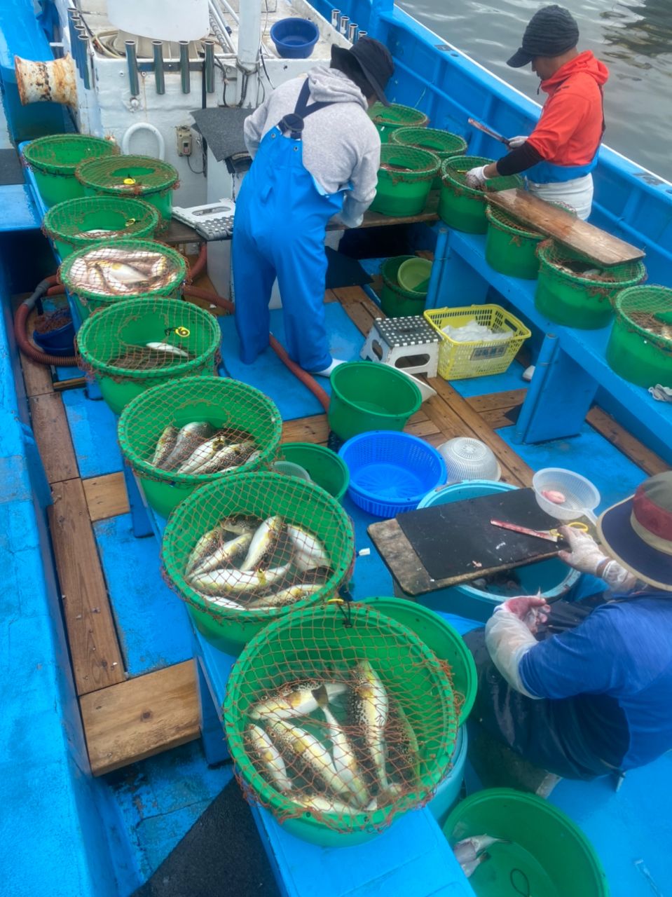 浩房13-80さんの釣果 2枚目の画像