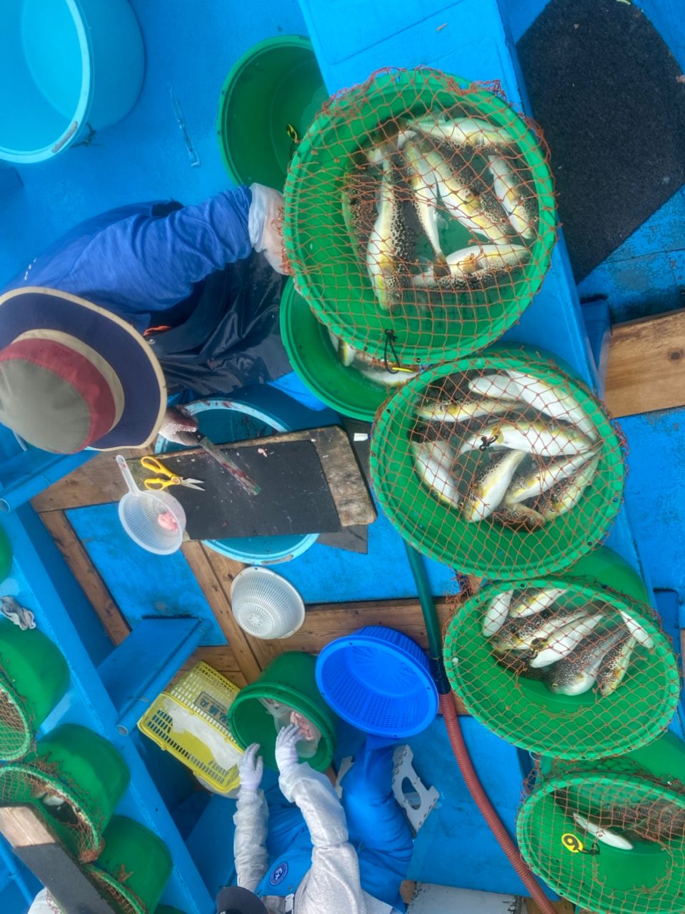 浩房13-80さんの釣果 3枚目の画像