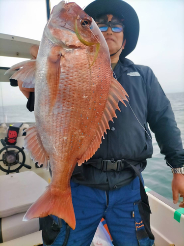 タイの釣果