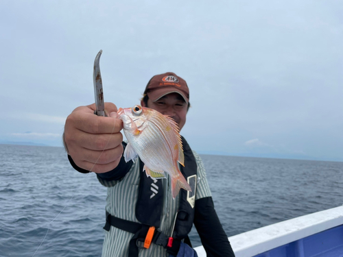 レンコダイの釣果