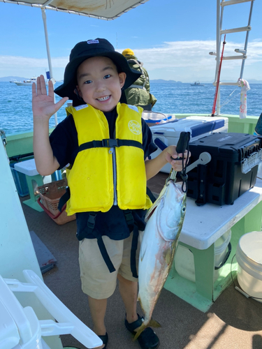 ハマチの釣果