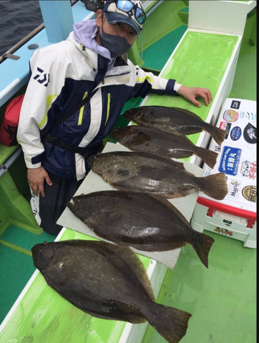 ヒラメの釣果