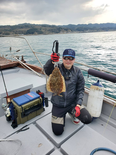 ヒラメの釣果