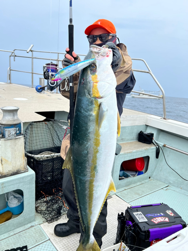 ヒラマサの釣果