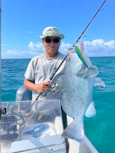 ツチホゼリの釣果