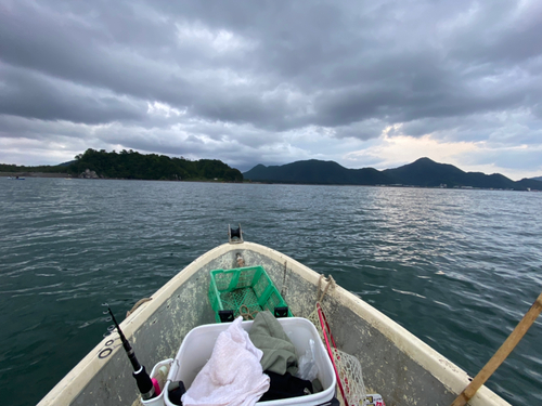 イトヨリダイの釣果