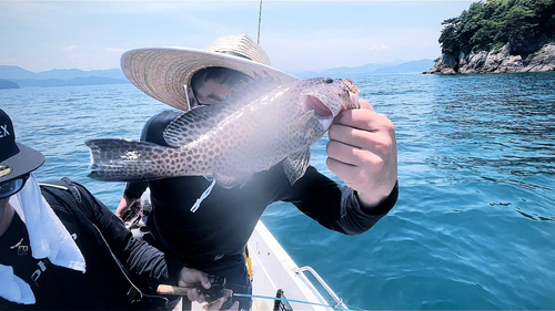 オオモンハタの釣果