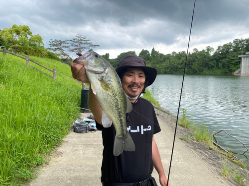 ラージマウスバスの釣果