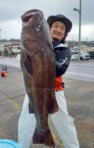 アラの釣果