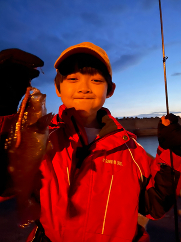 エゾメバルの釣果