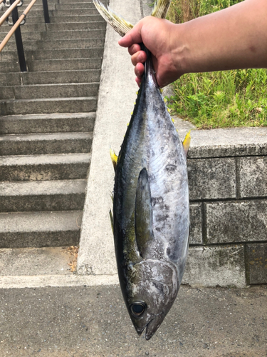 釣果