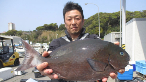 クロの釣果