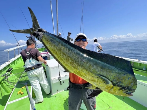 シイラの釣果