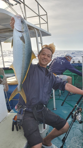 ヒラマサの釣果