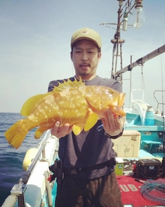 アコウの釣果