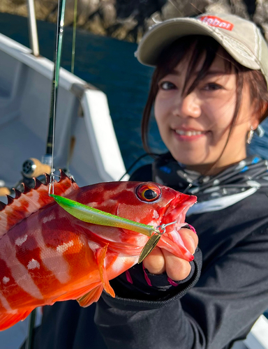 アカハタの釣果