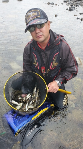 アユの釣果