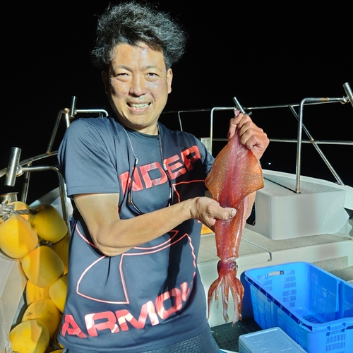 ヤリイカの釣果