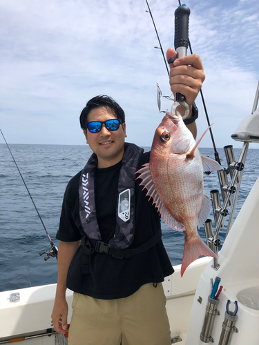 タイの釣果