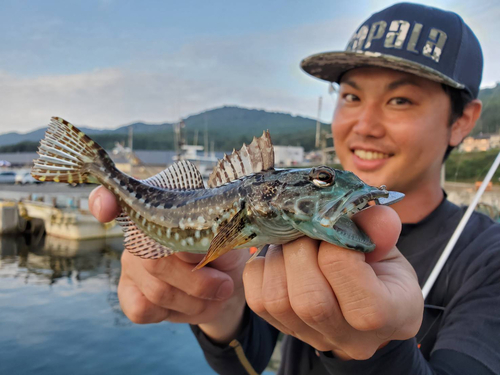 アナハゼの釣果