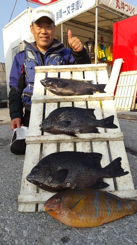 イシガキダイの釣果