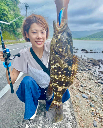 ヤイトハタの釣果