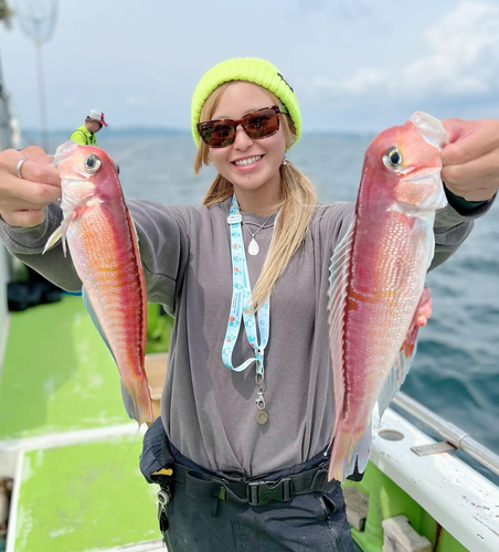 アマダイの釣果