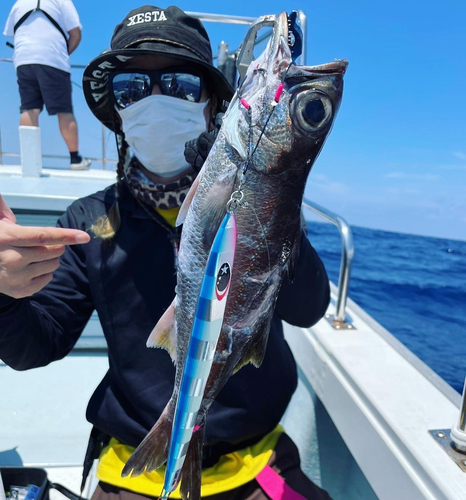 クロムツの釣果