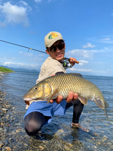 ニゴイの釣果