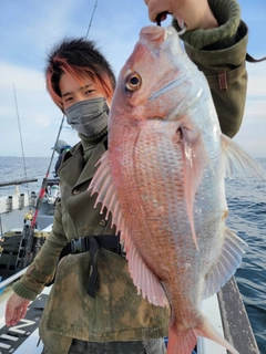 マダイの釣果