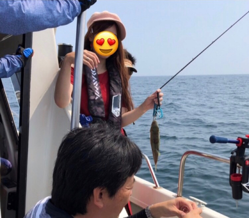 シロサバフグの釣果