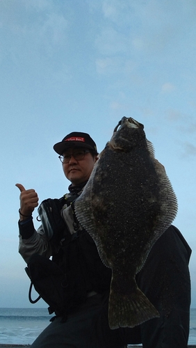 ヒラメの釣果