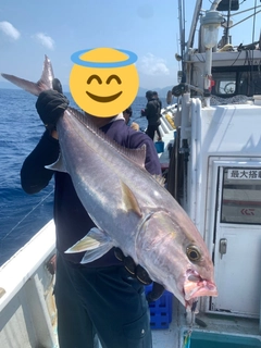 カンパチの釣果